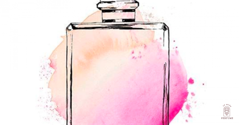 Ở ĐÂY CÓ MỌI THỨ VỀ MÙI HƯƠNG VÀ TRANG PHỤC